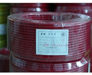 上海聚氯乙烯绝缘电线电缆